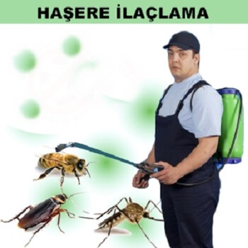 Merzifon Böcek İlaçlama